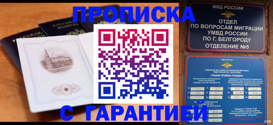 прописка поиск в Карасуке